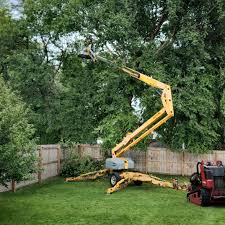 Best Lawn Pest Prevention  in Enetai, WA
