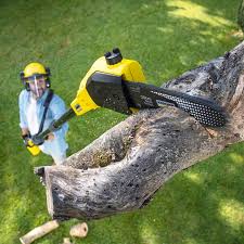 Best Lawn Drainage Solutions  in Enetai, WA