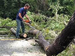 Best Utility Line Clearance  in Enetai, WA