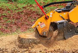 Best Arborist Consultation Services  in Enetai, WA