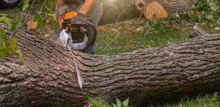 Best Aeration Services  in Enetai, WA