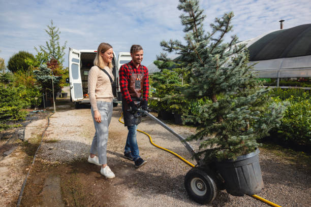 Best Leaf Removal  in Enetai, WA